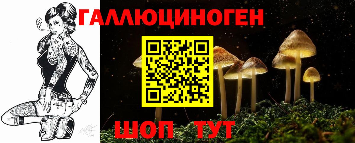 Псилоцибиновые грибы мицелий Унеча