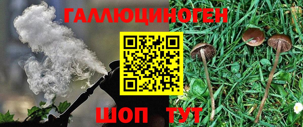 Унеча  Галлюциногенные грибы GOLDEN TEACHER  Вход с VPN  Галлюциногенные грибы прущие грибы 